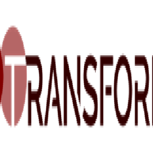5G-TRANSFORMER: Plataforma de Red de Transporte Móvil 5G para industrias verticales